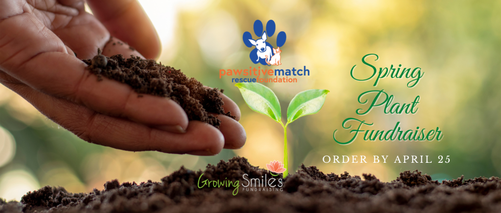 Growing-Smiles-Spring-FB-1920-×-841-px-2
