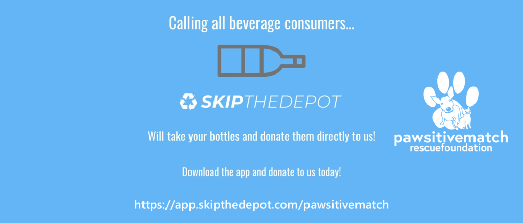 SkipTheDepot-web-v2