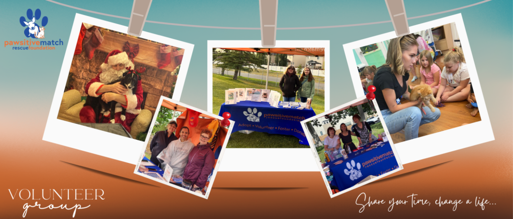 Web-Banner-Collage-1
